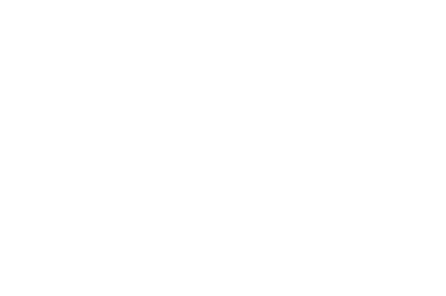 Sage Pro Elite